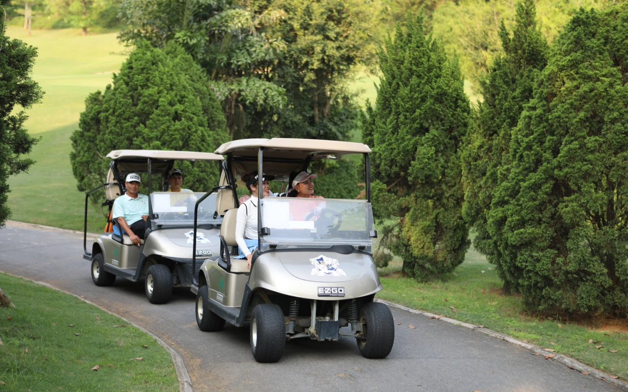 Buggy Tour